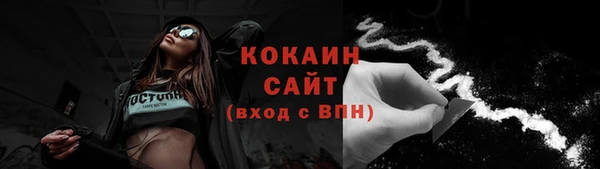 эйфоретик Осинники