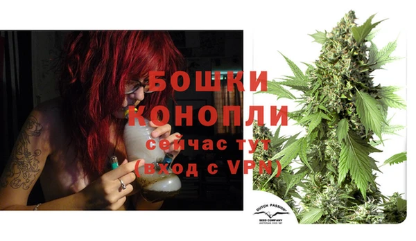 шишки Балахна