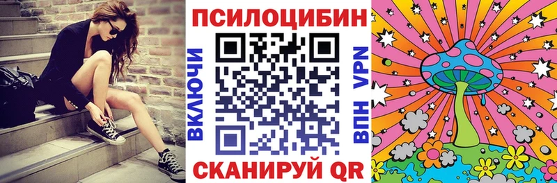 mega ССЫЛКА Вилючинск Галлюциногенные грибы Magic Shrooms